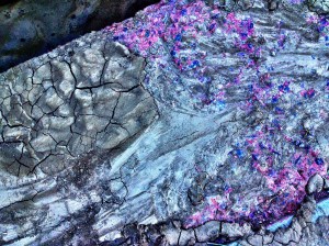 Mud flow: After the Colorado Floods: Photography by Noelle