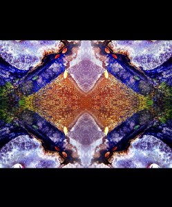 Algae: Photo collage by Noelle