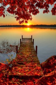 Photo re-posted from Enchanted Nature Facebook page