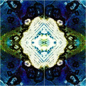 A study in the formation of frost: Photo by Noelle