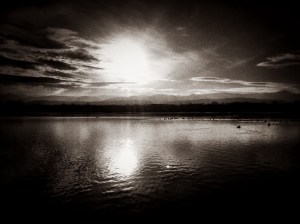 Winter Sun: Photo by Noelle