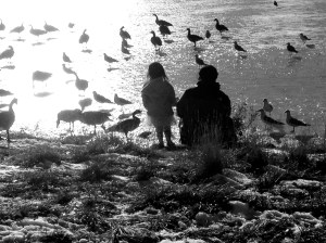 The TuTu: Photo by Noelle