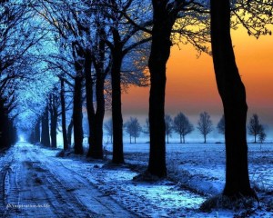 Re-posted from Enchanted Nature Facebook page