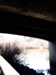 The Platte at Chatfield: Photo by Noelle