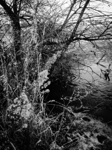 Johnston Lake frozen in winter: Photo by Noelle