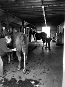 A Sunday Bath: Photo by Noelle