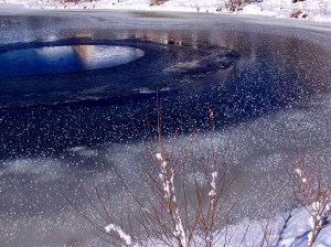 Snow Freckles: Photo by Noelle
