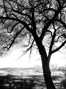 Comes the Night: Photo by Noelle