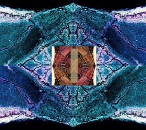 Photo montage of spilled milk: Photo and collage by Noelle