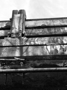 Flaky, rotten, beautiful decay: Photo by Noelle