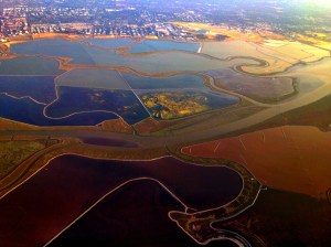 Salt Flats in San Francisco Bay: Photo by Noelle