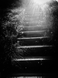 Stair hike at Mount Glennon Park: Photo by Noelle