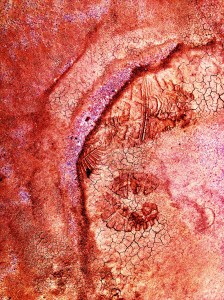 Mud print: Photo by Noelle