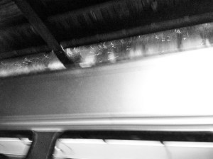 Union Station Chicago: Photos by Noelle