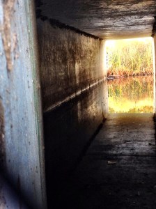 Bear Creek/Sims underpass: Photo by Noelle