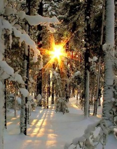 Re-posted from Enchanted Nature's Facebook page