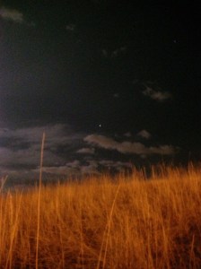 Before dawn: Photo by Noelle