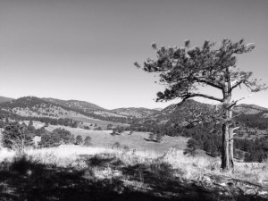 White Ranch Park, Colorado: Photo by Noelle