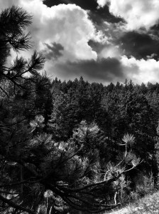 Apex Park, Colorado: Photo by Noelle