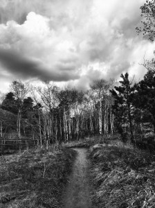 Apex Park, Colorado: Photo by Noelle