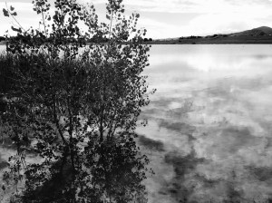 Hine Lake: Photo by Noelle