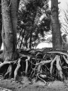 Lake trail at Chatfield State Park: Photo by Noelle