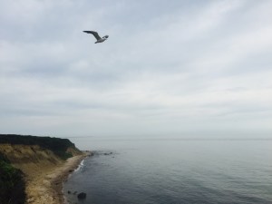 Mohegan's Bluff, Block Island: Photo by Noelle