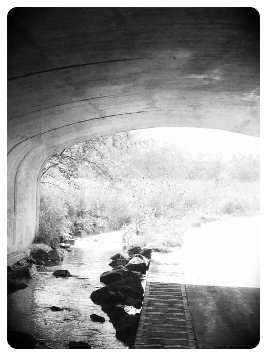 Bike trail, Ken Caryl: Photo by Noelle