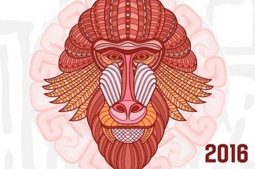 god-Ognennoy-obezyanyi